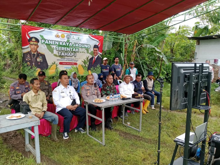 Panen Raya Jagung Serentak Tahap I dalam rangka mendukung Swasembada Pangan Tahun 2025 di Desa Anyar Kecamatan Anyar