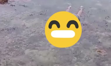 Wisatawan Bogor yang Terseret Ombak di Pantai Carita,   kini telah ditemukan dalam kondisi tak bernyawa