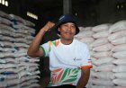 Pupuk Makin Murah, Panen Melimpah: Petani Senyum Sumringah
