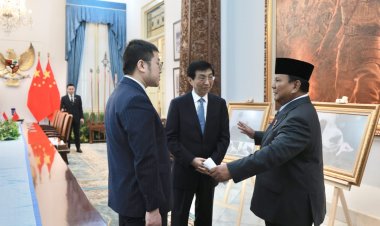 Satrio, Panda Pertama yang Lahir di Indonesia Setelah 10 Tahunn Jadi Sorotan di Pertemuan Prabowo dan MPR China